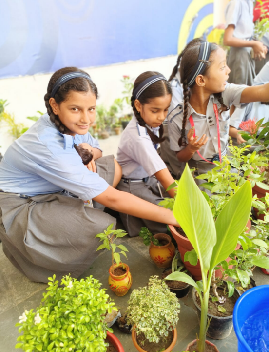 GLIMPSES OF VAN MAHOTSAV